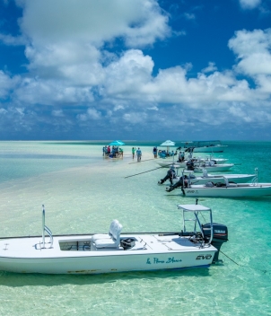 Alphonse Island - Beach Retreats