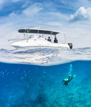 Alphonse Island - Beach Retreats