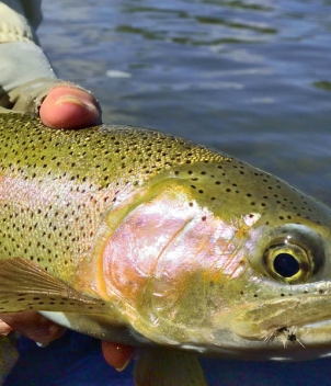 North Fork Crossing Lodge