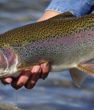 North Fork Crossing Lodge