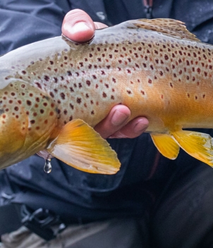 North Fork Crossing Lodge