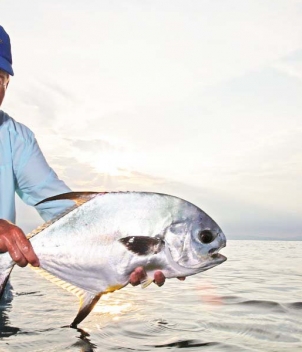 Blue Horizon Fly Fishing Lodge 