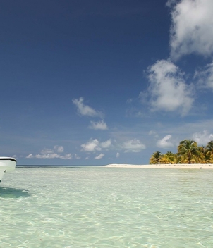Blue Horizon Fly Fishing Lodge 
