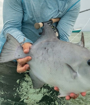 Blue Horizon Fly Fishing Lodge 