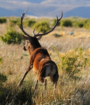Estancia Arroyo Verde