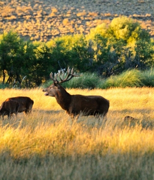 Estancia Arroyo Verde