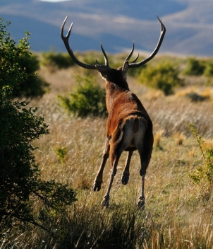 Estancia Arroyo Verde