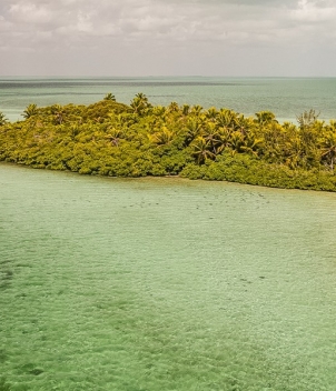 Palometa Club