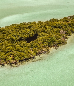 Palometa Club