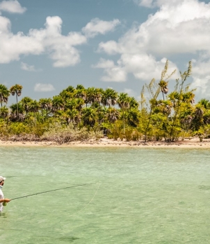 Palometa Club