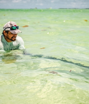 Palometa Club