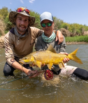 Yellowfish trips, South Africa 