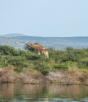 Yellowfish trips, South Africa 