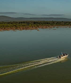 Yellowfish trips, South Africa 