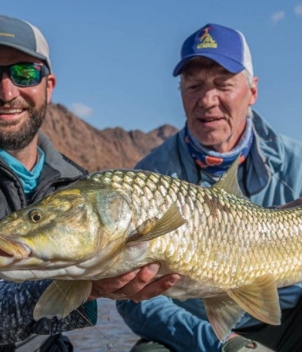 Yellowfish trips, South Africa 