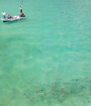 Mayazul Lodge