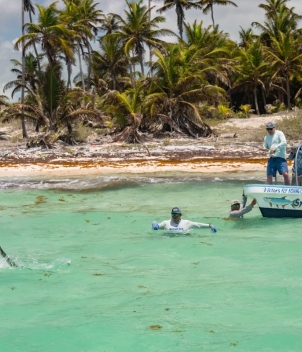 Mayazul Lodge