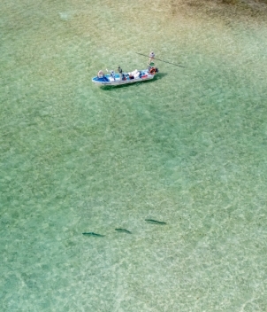 Mayazul Lodge