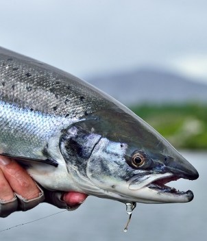 Clonanav Fly Fishing