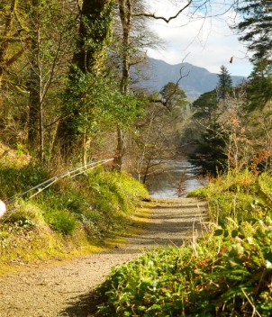 Clonanav Fly Fishing