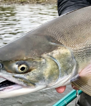 Bristol Bay Lodge