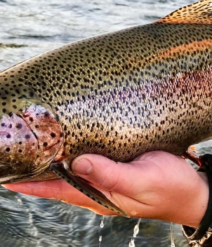 Bristol Bay Lodge