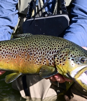 Italian Fly Fishing Tours