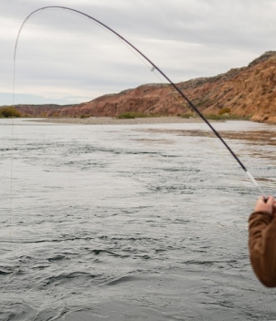 Limay River Lodge