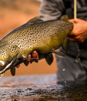 Limay River Lodge