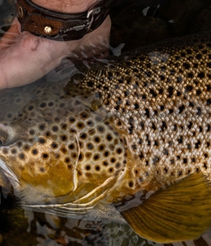 Limay River Lodge