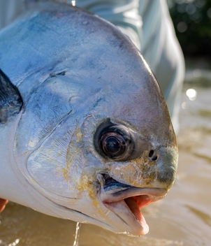 Blue Bonefish Lodge