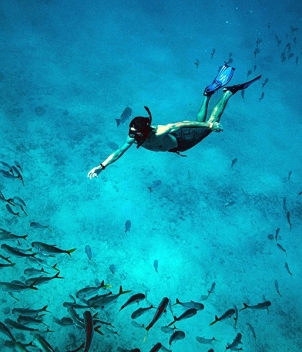Blue Bonefish Lodge