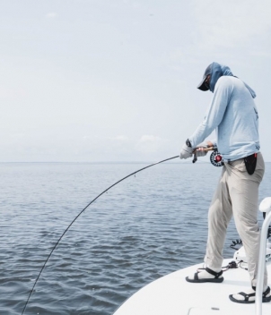 Port Gentil Tarpon Experience