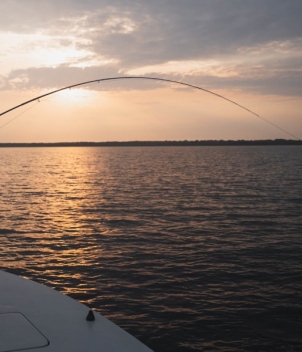 Port Gentil Tarpon Experience