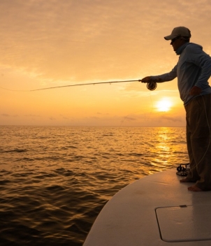 Port Gentil Tarpon Experience