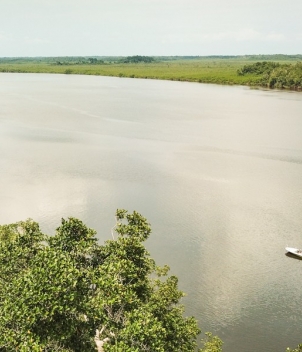 Port Gentil Tarpon Experience