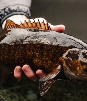 Wesley Hodges Fly Fishing & Bird Hunting