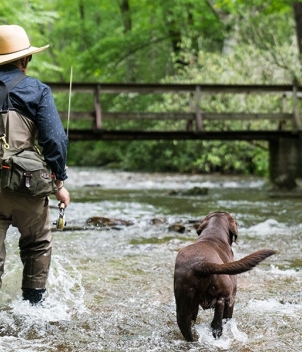 Wesley Hodges Fly Fishing & Bird Hunting