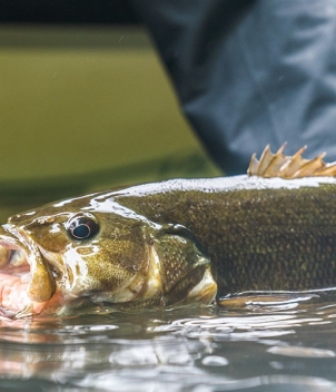 Wesley Hodges Fly Fishing & Bird Hunting