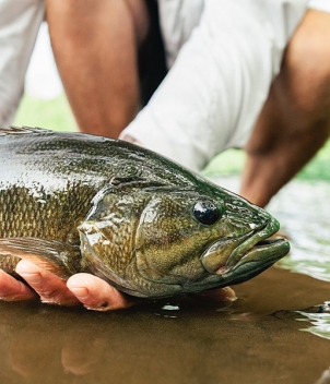 Wesley Hodges Fly Fishing & Bird Hunting