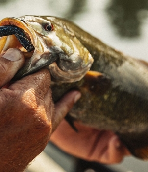 Wesley Hodges Fly Fishing & Bird Hunting