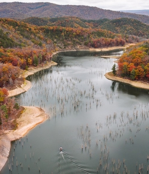 Wesley Hodges Fly Fishing & Bird Hunting