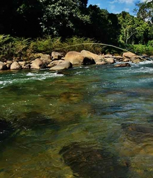 Tsimane - Agua Negra Lodge