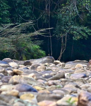 Tsimane - Agua Negra Lodge