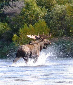 Copper River Lodge