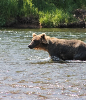 Copper River Lodge