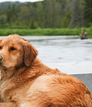 Copper River Lodge