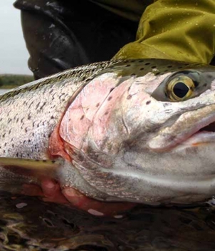 Copper River Lodge