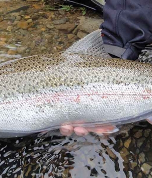 Copper River Lodge