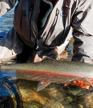 Steelhead Valhalla Lodge